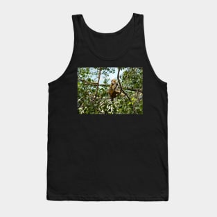 Planet Monkey Jungle Wildlife Tank Top